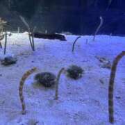 ヒメ日記 2026/03/11 08:08 投稿 のあ ごほうびSPA名古屋店