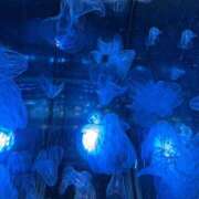 ヒメ日記 2026/03/14 08:08 投稿 のあ ごほうびSPA名古屋店