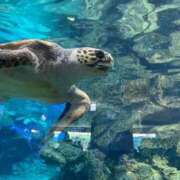 ヒメ日記 2026/03/25 08:08 投稿 のあ ごほうびSPA名古屋店