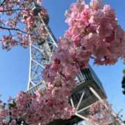 ヒメ日記 2026/03/28 08:08 投稿 のあ ごほうびSPA名古屋店