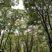 ヒメ日記 2026/09/09 08:18 投稿 のあ ごほうびSPA名古屋店
