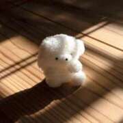 ヒメ日記 2024/12/10 20:02 投稿 ひな ごほうびSPA名古屋店