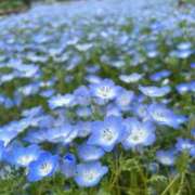 ヒメ日記 2025/04/23 08:31 投稿 みゆ ごほうびSPA名古屋店