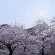 ヒメ日記 2025/04/06 12:21 投稿 あめり ごほうびSPA名古屋店