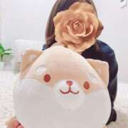 ヒメ日記 2024/12/24 08:07 投稿 ともみ 不倫体験 名古屋店