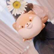 ヒメ日記 2025/04/13 13:48 投稿 ともみ 不倫体験 名古屋店