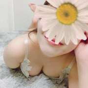 ヒメ日記 2025/04/29 19:48 投稿 ともみ 不倫体験 名古屋店