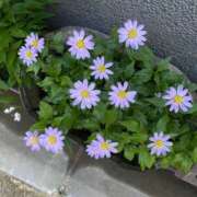 ヒメ日記 2025/05/07 07:35 投稿 ともみ 不倫体験 名古屋店