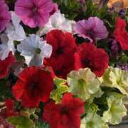 ヒメ日記 2025/05/18 17:03 投稿 ともみ 不倫体験 名古屋店