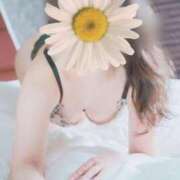 ヒメ日記 2025/09/05 13:22 投稿 ともみ 不倫体験 名古屋店