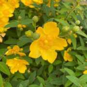 ヒメ日記 2025/09/17 16:22 投稿 ともみ 不倫体験 名古屋店