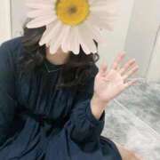 ヒメ日記 2025/10/14 13:12 投稿 ともみ 不倫体験 名古屋店