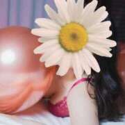 ヒメ日記 2025/11/05 13:22 投稿 ともみ 不倫体験 名古屋店