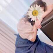 ヒメ日記 2025/12/16 01:52 投稿 ともみ 不倫体験 名古屋店