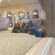 ヒメ日記 2026/01/17 19:22 投稿 ともみ 不倫体験 名古屋店