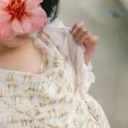 ヒメ日記 2025/07/11 19:52 投稿 浅倉こまち 五十路マダム 岐阜店