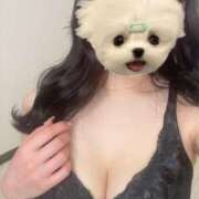 ヒメ日記 2025/04/29 04:42 投稿 ありさ ごほうびSPA 大阪店