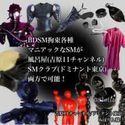 ヒメ日記 2024/12/20 01:34 投稿 みぽりん様 11チャンネル