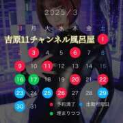 ヒメ日記 2025/03/12 20:53 投稿 みぽりん様 11チャンネル