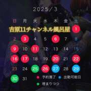 ヒメ日記 2025/03/25 18:25 投稿 みぽりん様 11チャンネル