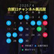 ヒメ日記 2025/03/28 13:48 投稿 みぽりん様 11チャンネル