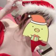 ヒメ日記 2025/12/21 15:07 投稿 ななみ 男爵