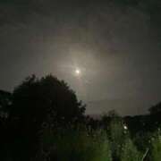 らん あけましておめでとう 鹿児島ちゃんこ 天文館店