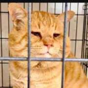 ヒメ日記 2025/03/11 22:15 投稿 いろは 妻天 日本橋店