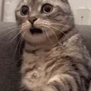 ヒメ日記 2025/05/27 18:28 投稿 いろは 妻天 日本橋店