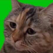 ヒメ日記 2025/06/03 19:06 投稿 いろは 妻天 日本橋店