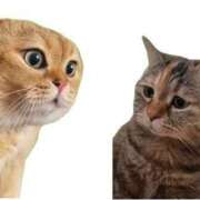 ヒメ日記 2025/06/12 18:26 投稿 いろは 妻天 日本橋店