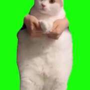 ヒメ日記 2025/06/17 19:55 投稿 いろは 妻天 日本橋店