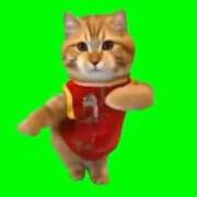 ヒメ日記 2025/07/03 18:49 投稿 いろは 妻天 日本橋店