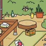 ヒメ日記 2025/07/07 09:48 投稿 いろは 妻天 日本橋店