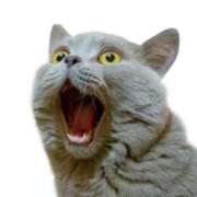 ヒメ日記 2025/07/08 18:38 投稿 いろは 妻天 日本橋店