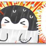 ヒメ日記 2025/08/03 23:16 投稿 いろは 妻天 日本橋店