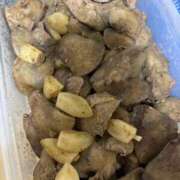 ヒメ日記 2025/08/14 23:11 投稿 いろは 妻天 日本橋店