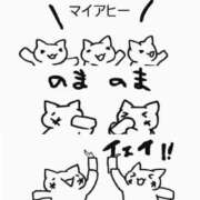 ヒメ日記 2025/09/10 08:05 投稿 いろは 妻天 日本橋店