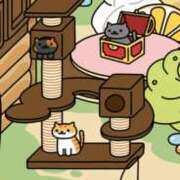 ヒメ日記 2025/10/16 22:12 投稿 いろは 妻天 日本橋店