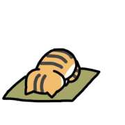 ヒメ日記 2025/11/09 07:37 投稿 いろは 妻天 日本橋店