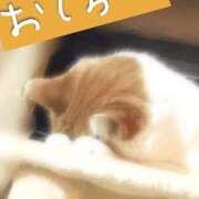 ヒメ日記 2025/11/22 19:34 投稿 いろは 妻天 日本橋店