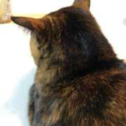 いろは ( 'ω'o[あさって出勤]oコロッケ結局ぬるかった 妻天 日本橋店