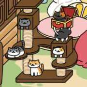 ヒメ日記 2025/12/14 18:30 投稿 いろは 妻天 日本橋店