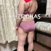 ヒメ日記 2025/12/28 06:49 投稿 いろは 妻天 日本橋店