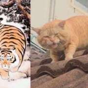 ヒメ日記 2026/01/22 18:44 投稿 いろは 妻天 日本橋店