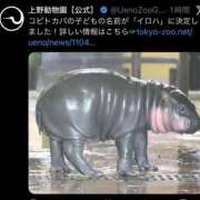 ヒメ日記 2026/04/07 14:10 投稿 いろは 妻天 日本橋店