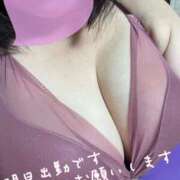 ヒメ日記 2026/04/15 19:38 投稿 いろは 妻天 日本橋店