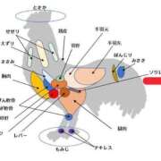 ヒメ日記 2026/05/21 20:02 投稿 いろは 妻天 日本橋店