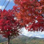 ヒメ日記 2025/11/28 15:35 投稿 松山あやの 東京不倫～とうきょうふりん～