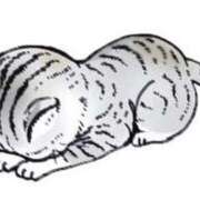 ヒメ日記 2025/05/09 03:49 投稿 いくみ 池袋マリン別館